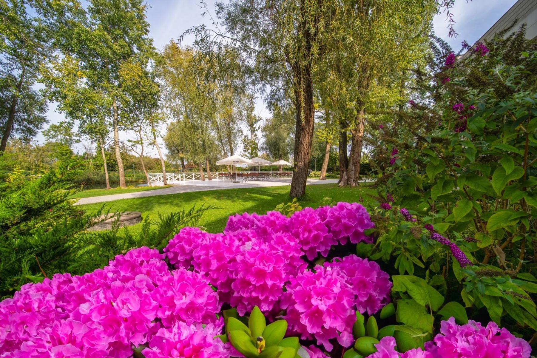 Green Garden Hotel Рашин Экстерьер фото